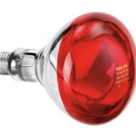Ampoule infrarouge IWL250D - Bartscher