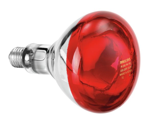 Ampoule infrarouge IWL250D Bartscher - référence 114271