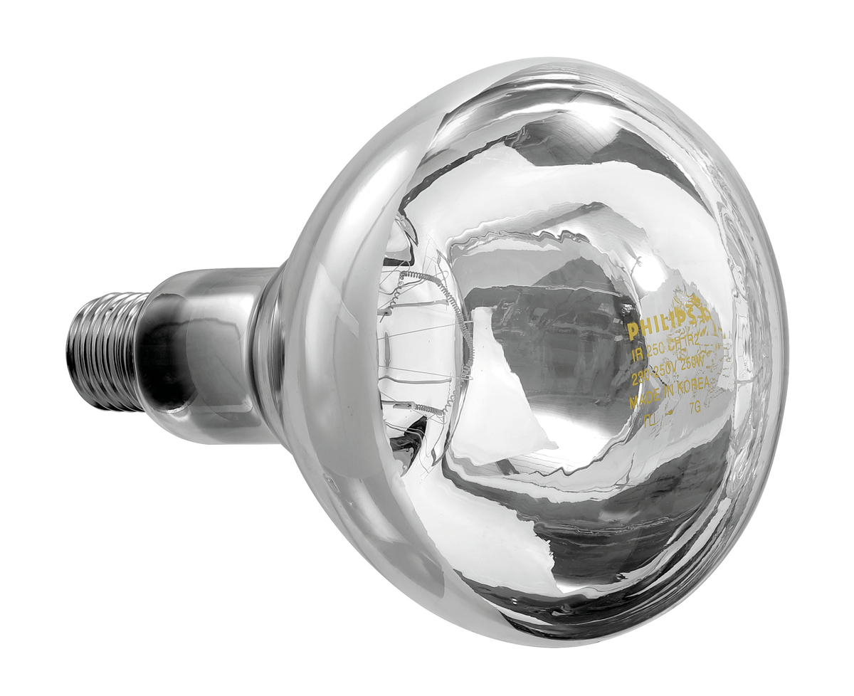 114277 Lampe infrarouge IWL250D-W - Bartscher – Image 1