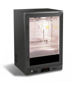 CAVE A MATURATION 138L - Combisteel