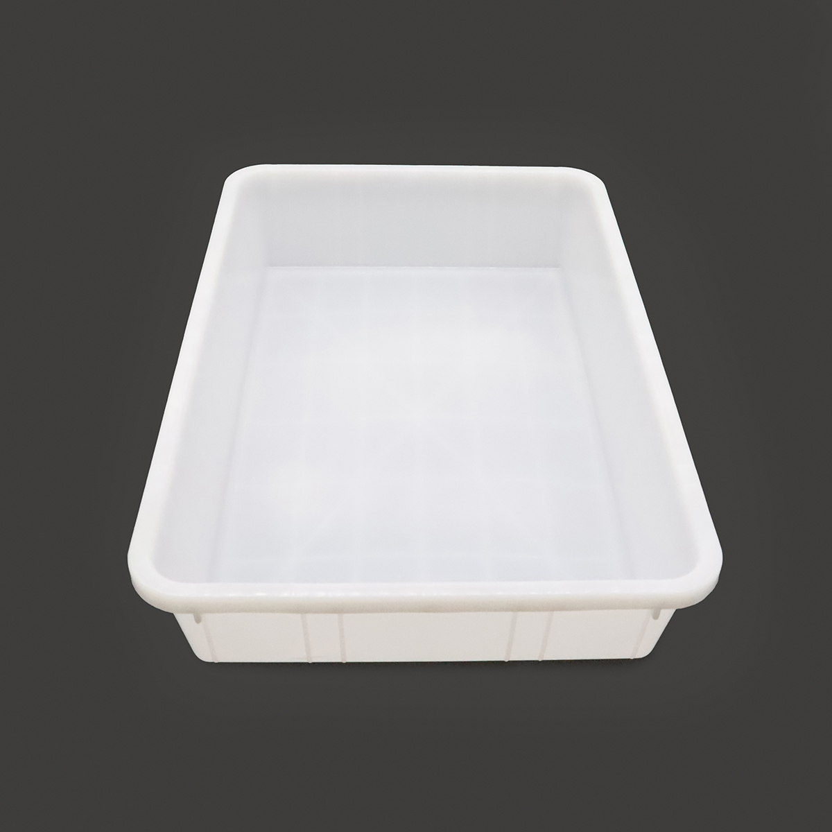 Réfrigérateur à poissons - 600 L - Conteneur en plastique (60 x 40 cm) Réfrigérateur à poissons - 600 L - Conteneur en plastique (60 x 40 cm) - Maxima – Image 1